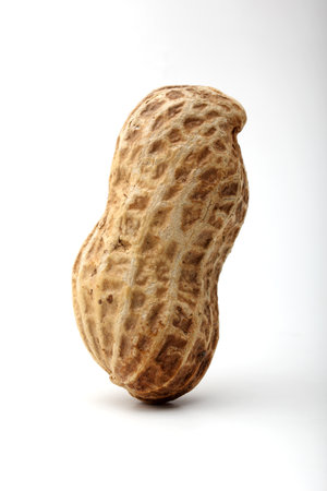 peanut isolated on white background, close-up, studio shotの写真素材