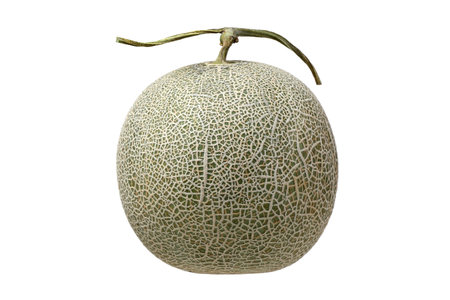Melon isolated on white background. Clipping path included for easy extraction.の写真素材
