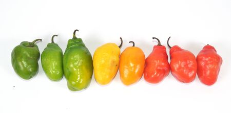 colorful hot chilli pepper on white background - raw food ingredient conceptの写真素材