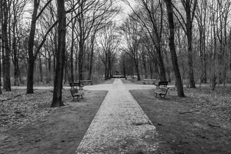 Walking in a garden in Berlinの写真素材