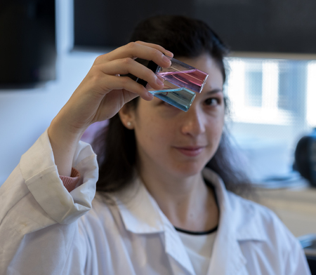 A female scientist working in a laboratory analyzing a pair of sampleの写真素材
