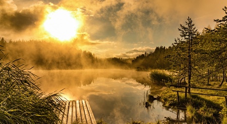 sunset view in nature parkの写真素材