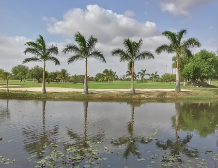 Beautiful natureの素材