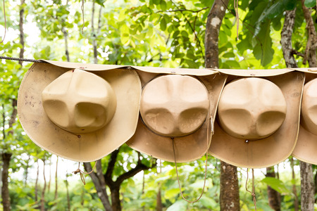 scout  hatの写真素材