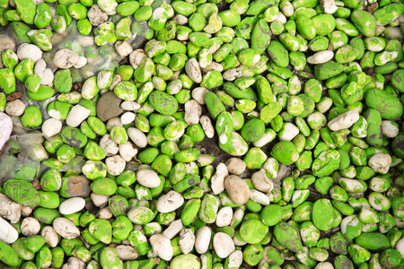 Colorful stone backgroundの写真素材