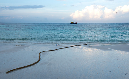 Beach Koh Lipe Thailandの写真素材