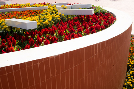 gardeningの写真素材