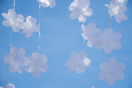 background  blue  whiteの写真素材