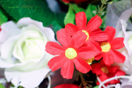 flowersの写真素材