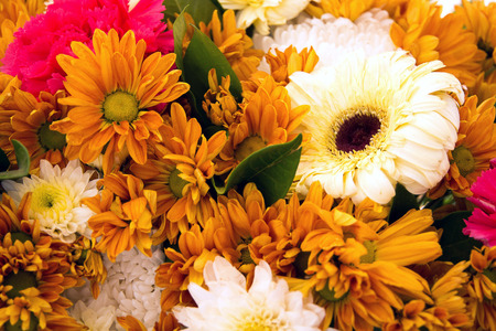 background  flowersの写真素材