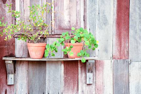 background  vintageの写真素材