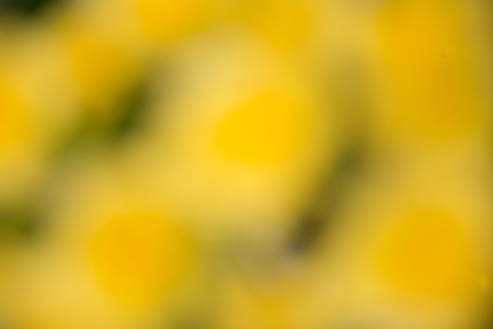 background  blurの写真素材