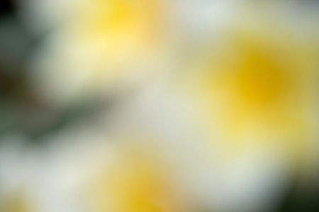 background  blurの写真素材