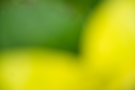 background  blurの写真素材