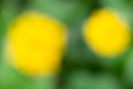 background  blurの写真素材