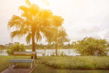 bench  and   worm  right  sunの写真素材