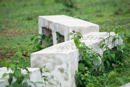 A stone table in the middle of a meadow in the woods.の写真素材