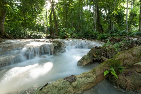 Beautiful waterfalls in the forest. With big green treeの写真素材