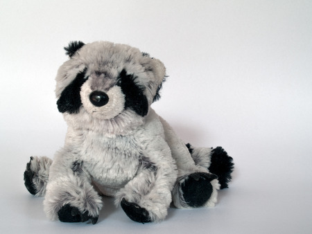 Brown teddy bear on white background.の写真素材