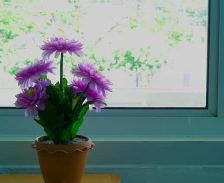 Plastic flowers 2の写真素材