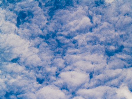 The sky, in the morning, one in the summer.の写真素材