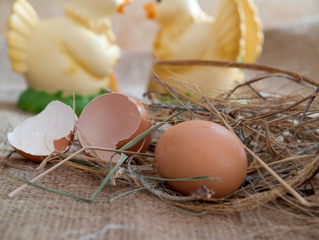 Eggs, put on sack cloth.