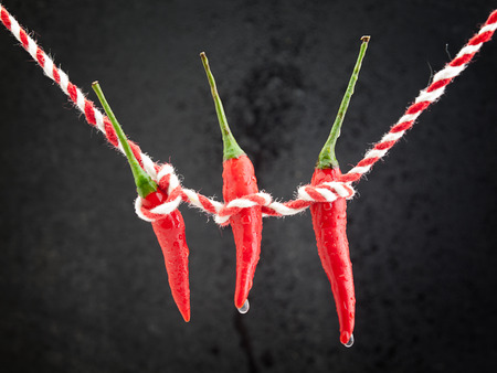 Hot red chili peppers ,  on a black background.の写真素材