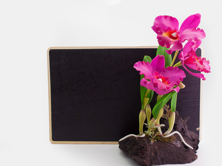 Plastic Floral Bouquet of  Flowers on White Background. (Space for text)の写真素材