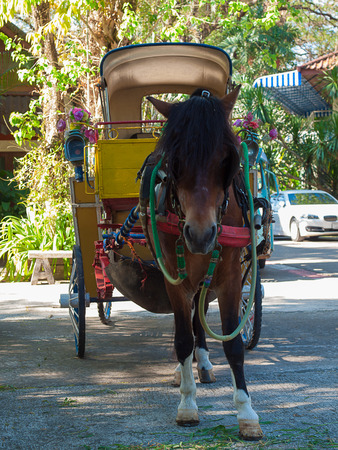 equipage is a vehicle for traveling , Thailand.のeditorial素材