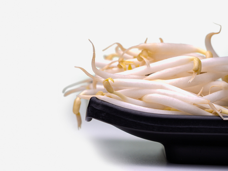 Closeup, Bean Sprouts  healthy food .(with free space for text)の写真素材