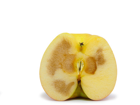 rotten apple fruit , isolated on white background. (clipping path)
