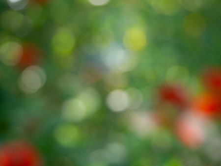 green bokeh background.Used for background image , Or design work.の写真素材
