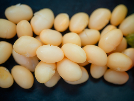white kidney beans. (Good food for health)の写真素材