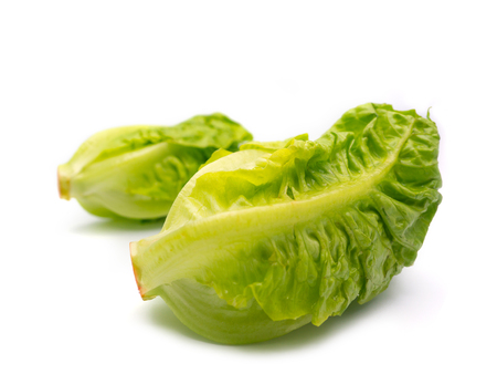 Baby Cos Fresh lettuce isolated on white background.の写真素材