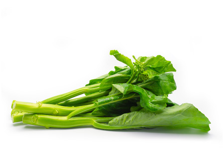 Chinese kale vegetable isolated on white background.の写真素材