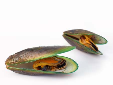 Fresh mussels on white background.(Good food for health)