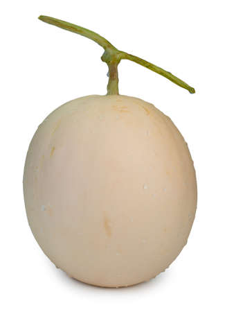 fresh honeydew melon isolated on white background. (This has clipping path)の写真素材