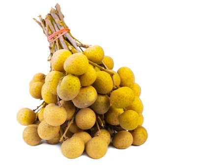 Longan (Dimocarpus longan) isolated on white background.の写真素材