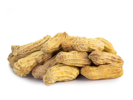 Boiled beans peanuts isolated on white background. (This has clipping path)の写真素材