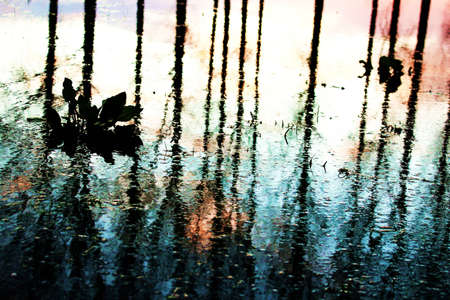 reflections on waterの写真素材