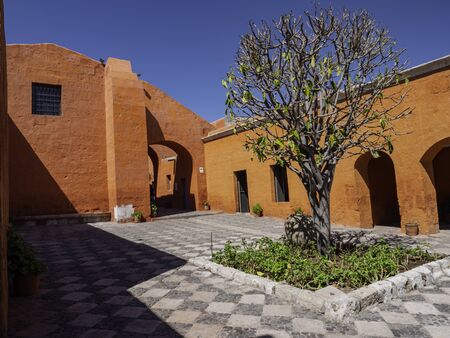 Inner courtyard of rooms with red walls and a central tree. Saint Catherine Monastery (Convent of...