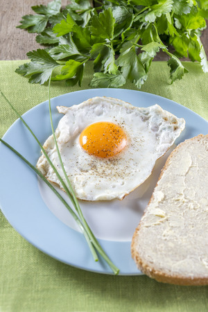Sunny side up fried egg with bread on a blue framed plateの写真素材