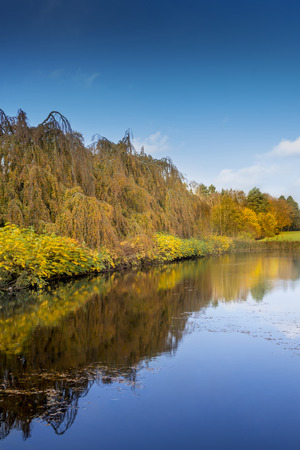 Trees reflecting in the water on a sunny autumn dayの写真素材