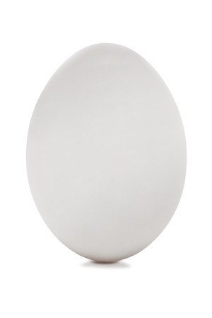 a white egg standing isolated on white background with light shadowの写真素材