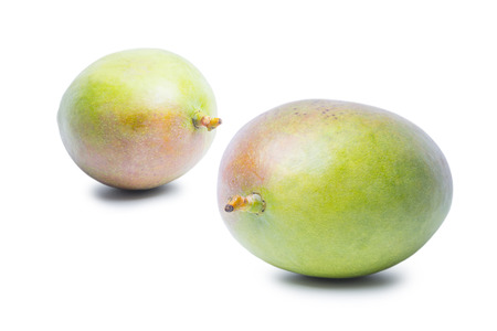 Two Mango fruits isolated on white backgroundの写真素材