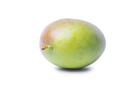 Single Mango fruit isolated on white backgroundの写真素材
