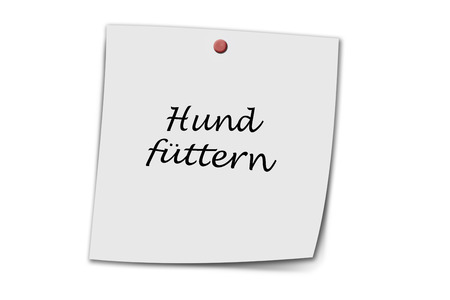 Hund füttern (German feed dog) written on a memo isolated on whiteの写真素材
