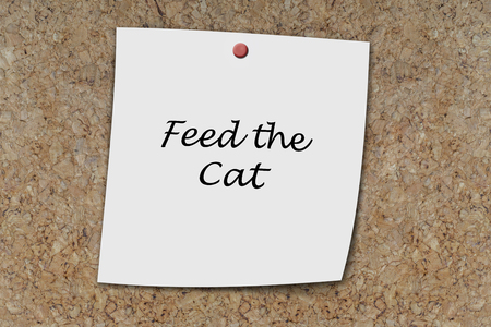 Feed the cat written on a memo pinned on a cork boardの写真素材