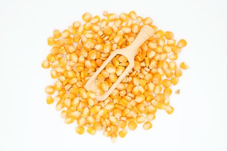 Dried corn maize isolated on the white background.