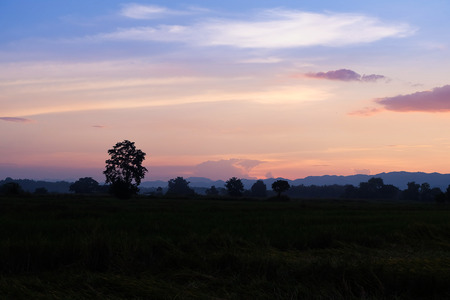Twilight sky background with Colorful sky in twilight backgroundの写真素材
